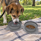 A dog drinking from the travel bowl on a picnic blanket, kibble in the other side