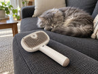 A clean dark sofa with a cat napping after brushing